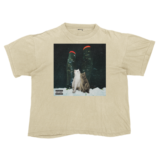 "Drake" $ome €uddly $ongs 4 U | $ome $exy $ongs 4 U Album Cat Parody T Shirt