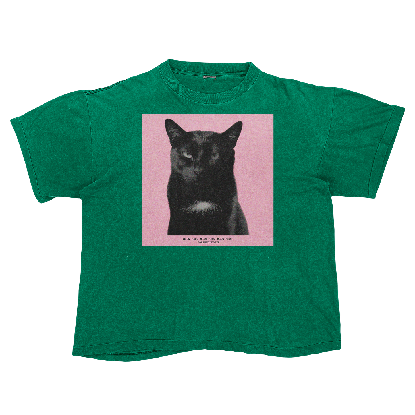 Tyler, The Cat | Tyler, The Creator Igor Parody Tee Shirt