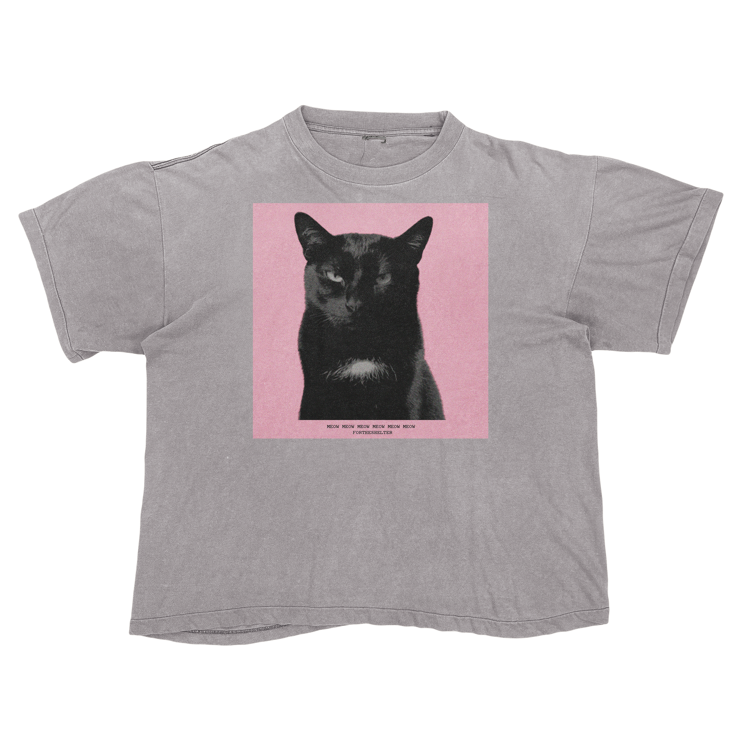 Tyler, The Cat | Tyler, The Creator Igor Parody Tee Shirt