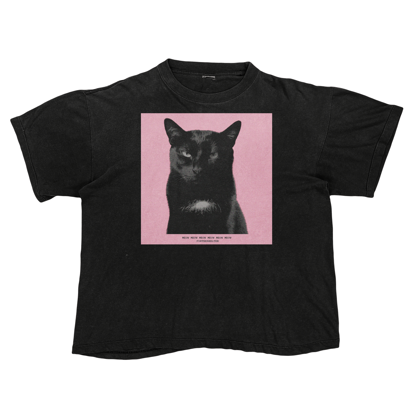 Tyler, The Cat | Tyler, The Creator Igor Parody Tee Shirt