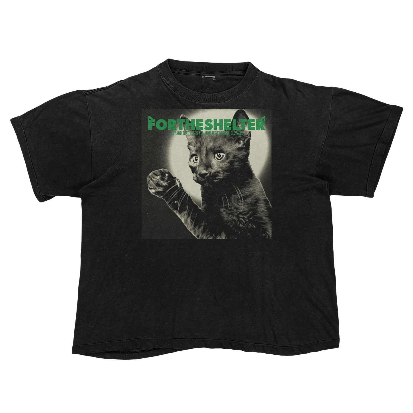 Catokopia - Tyler, The Creator Chromakopia Cat Parody