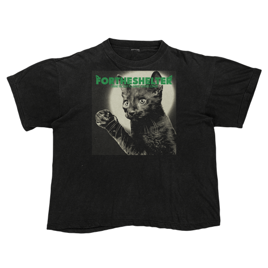 Catokopia - Tyler, The Creator Chromakopia Cat Parody