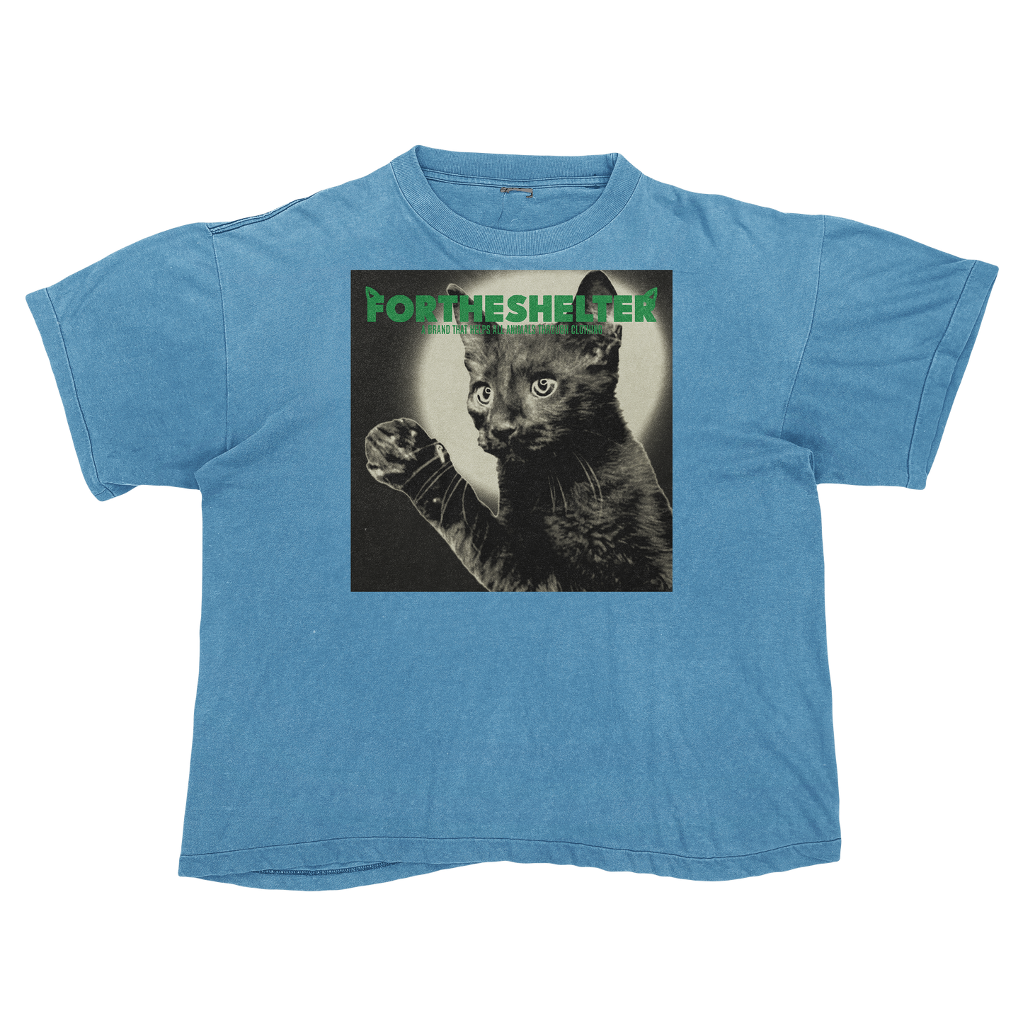 Catokopia - Tyler, The Creator Chromakopia Cat Parody