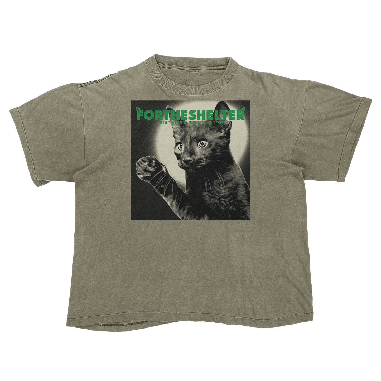 Catokopia - Tyler, The Creator Chromakopia Cat Parody