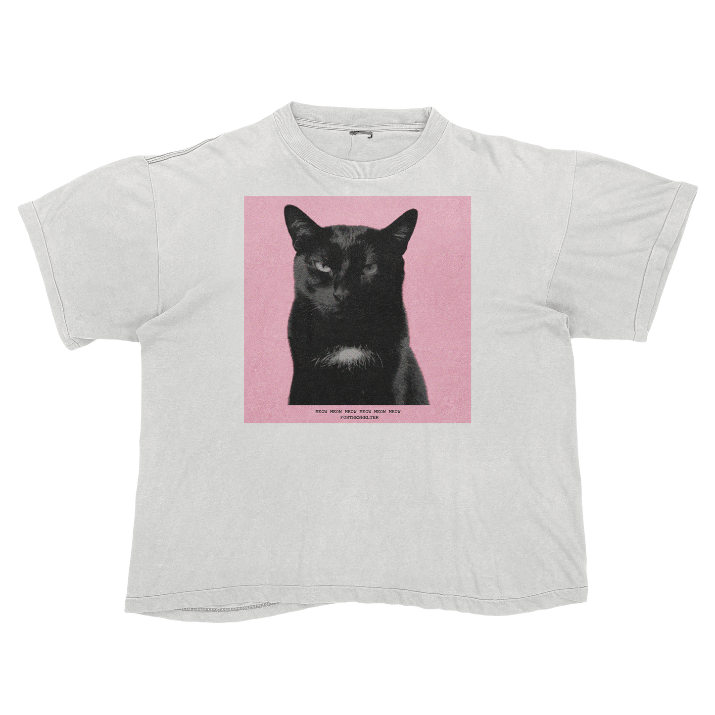 Tyler, The Cat | Tyler, The Creator Igor Parody Tee Shirt