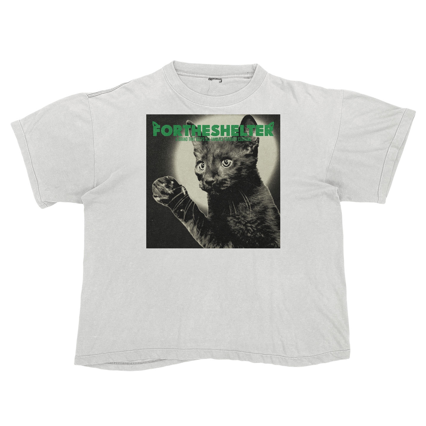 Catokopia - Tyler, The Creator Chromakopia Cat Parody