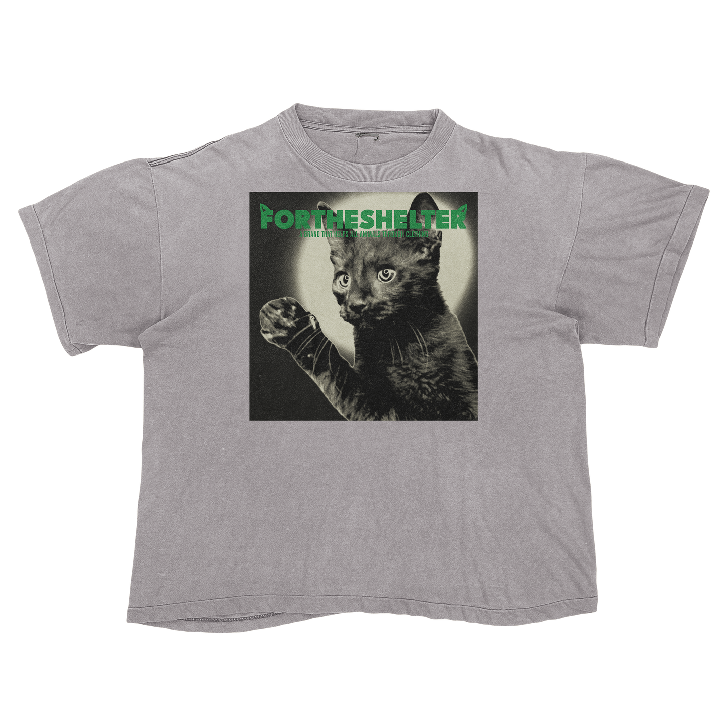 Catokopia - Tyler, The Creator Chromakopia Cat Parody
