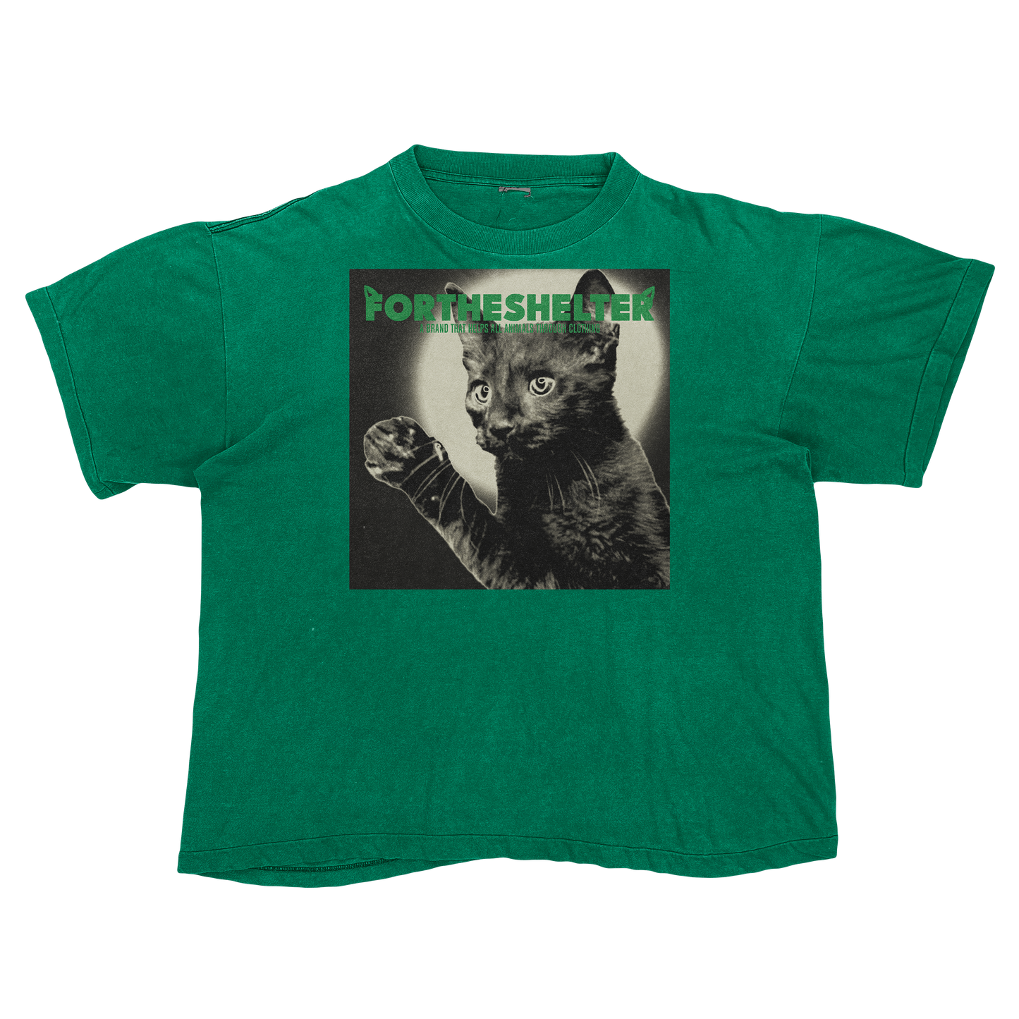 Catokopia - Tyler, The Creator Chromakopia Cat Parody