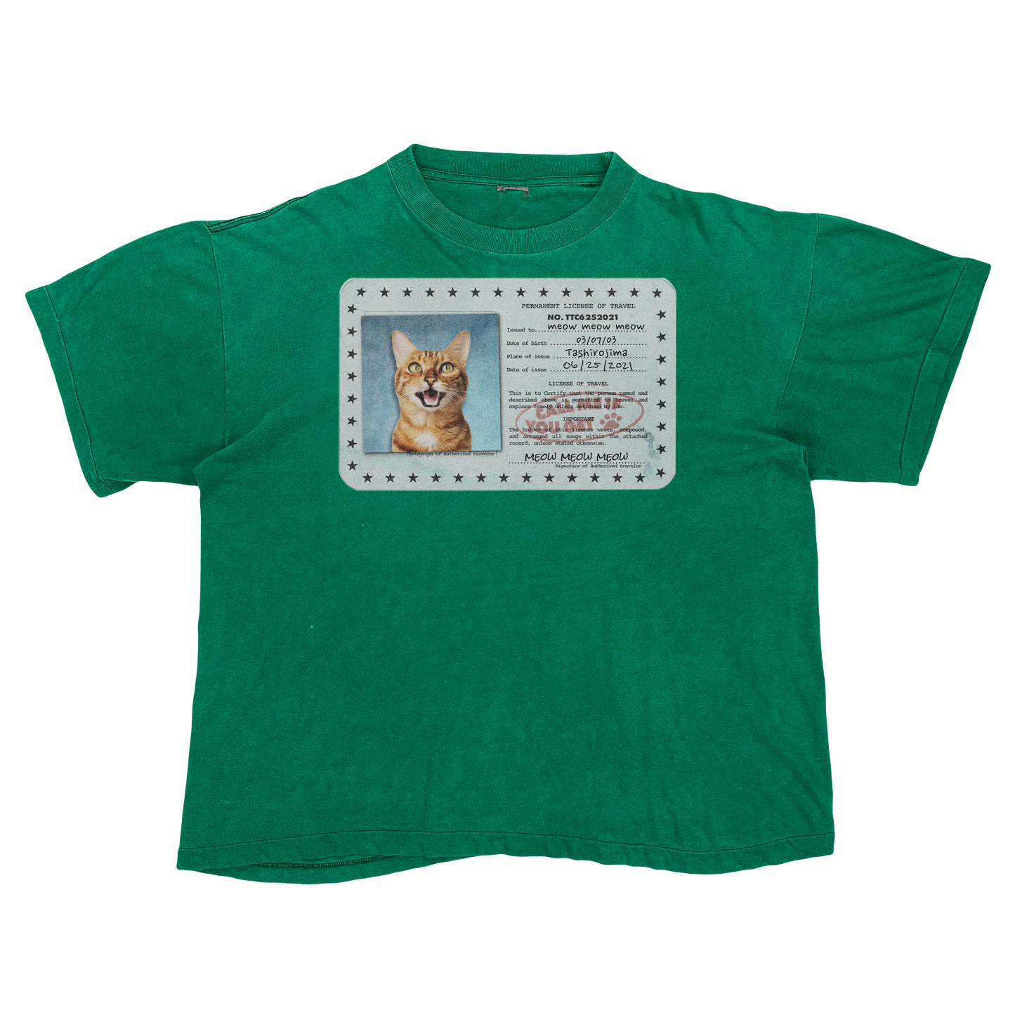 Tyler, The Creator "Call Me If You Get Lost" Cat Parody Tee Shirt