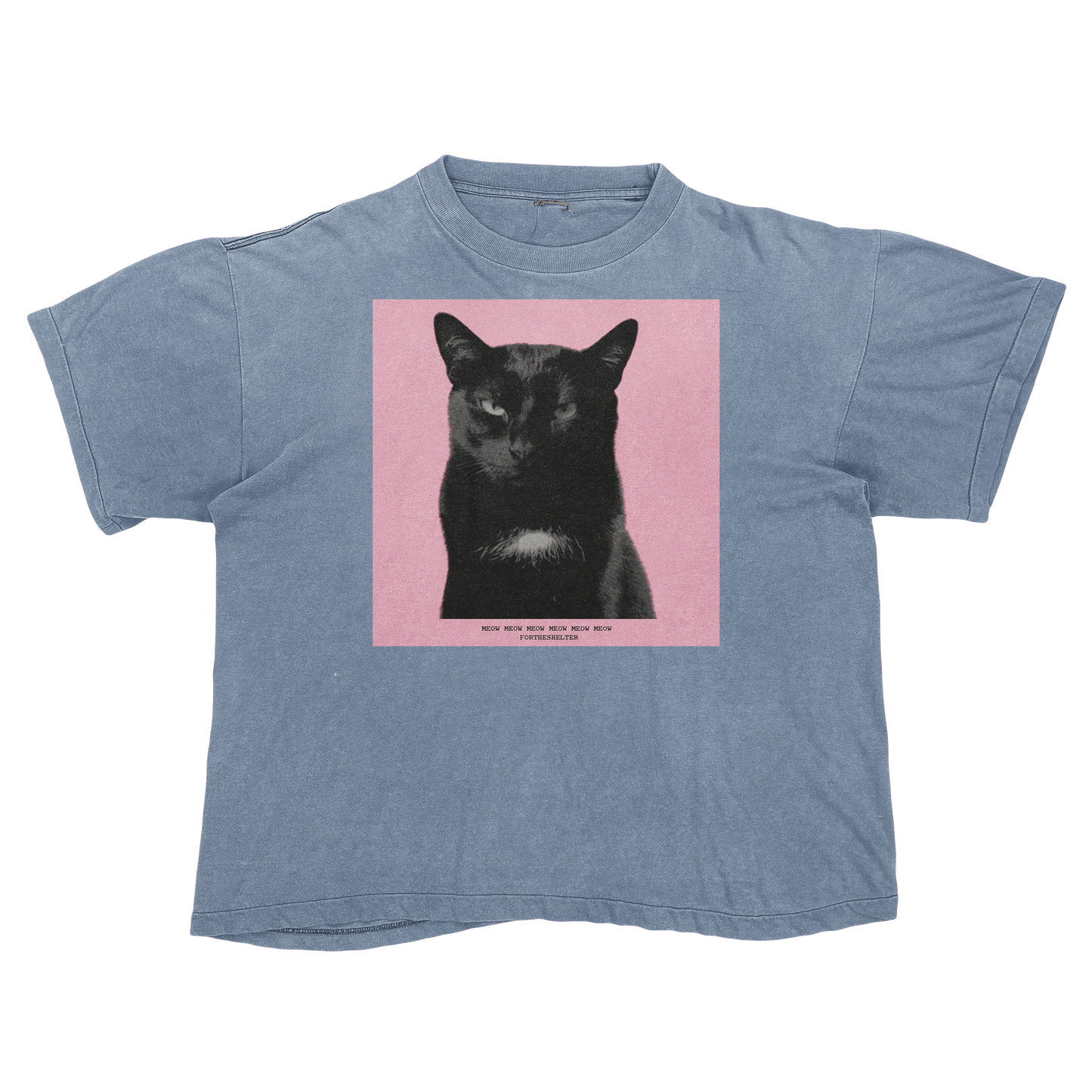 Tyler, The Cat | Tyler, The Creator Igor Parody Tee Shirt