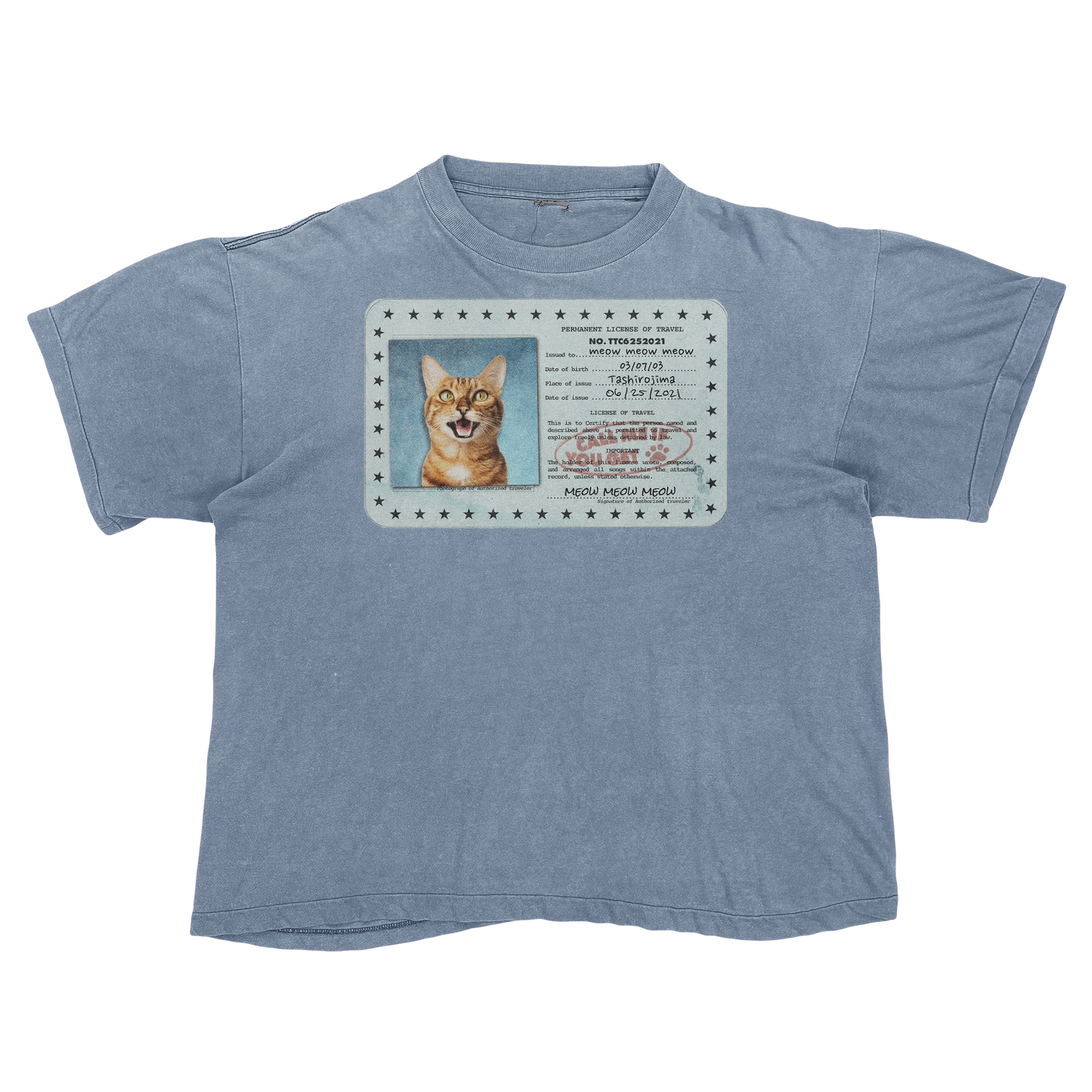 Tyler, The Creator "Call Me If You Get Lost" Cat Parody Tee Shirt