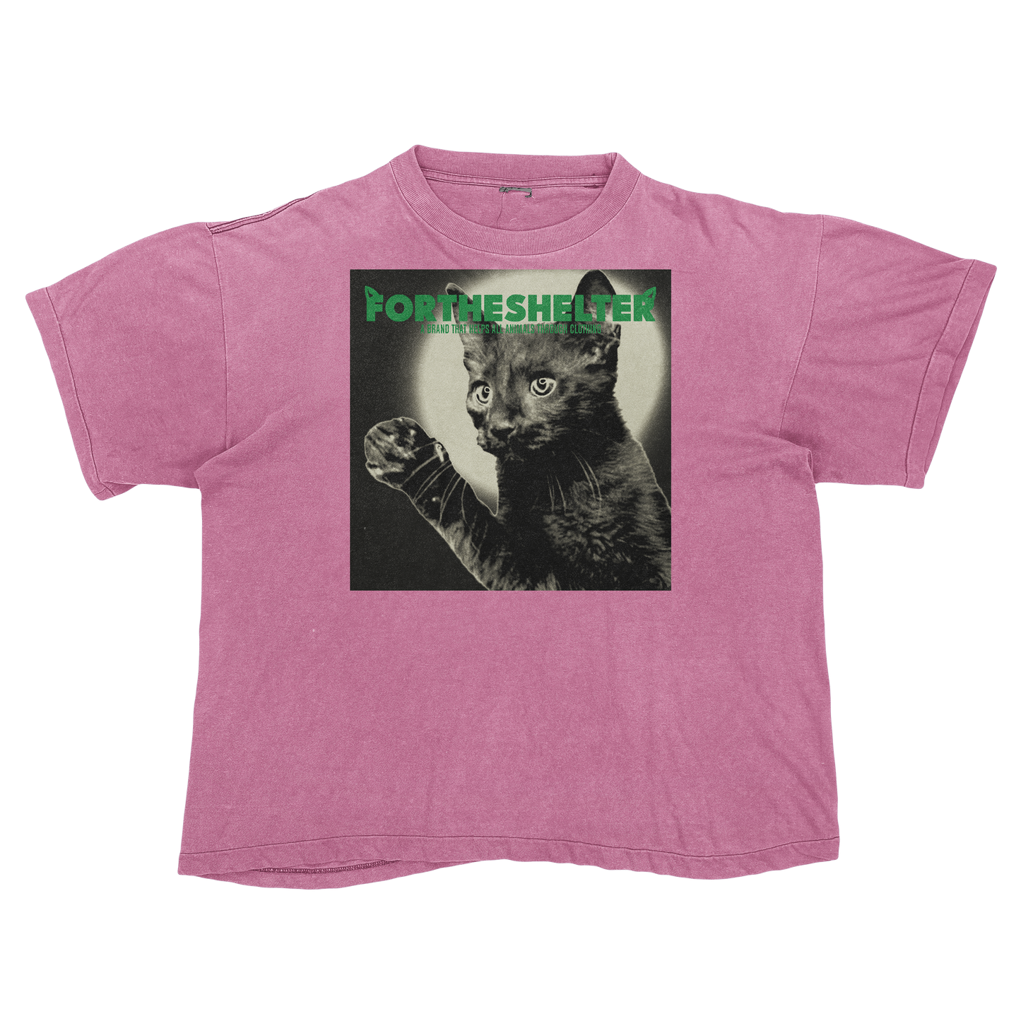 Catokopia - Tyler, The Creator Chromakopia Cat Parody
