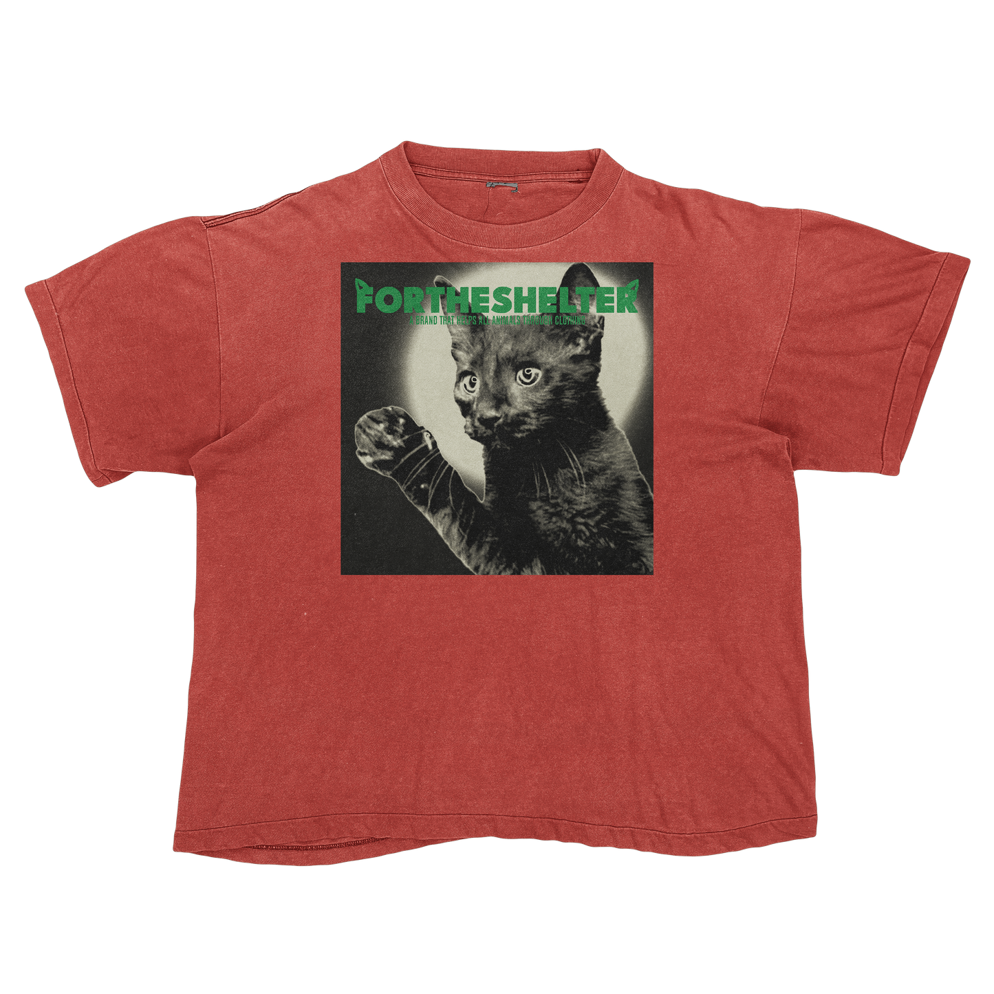 Catokopia - Tyler, The Creator Chromakopia Cat Parody