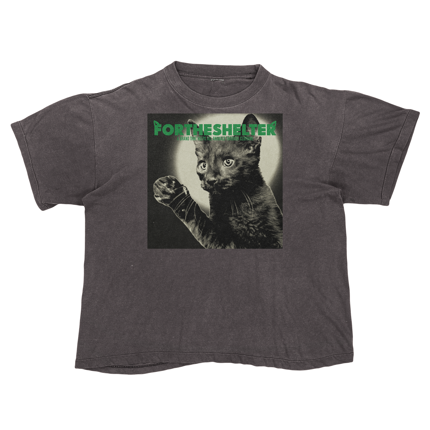 Catokopia - Tyler, The Creator Chromakopia Cat Parody
