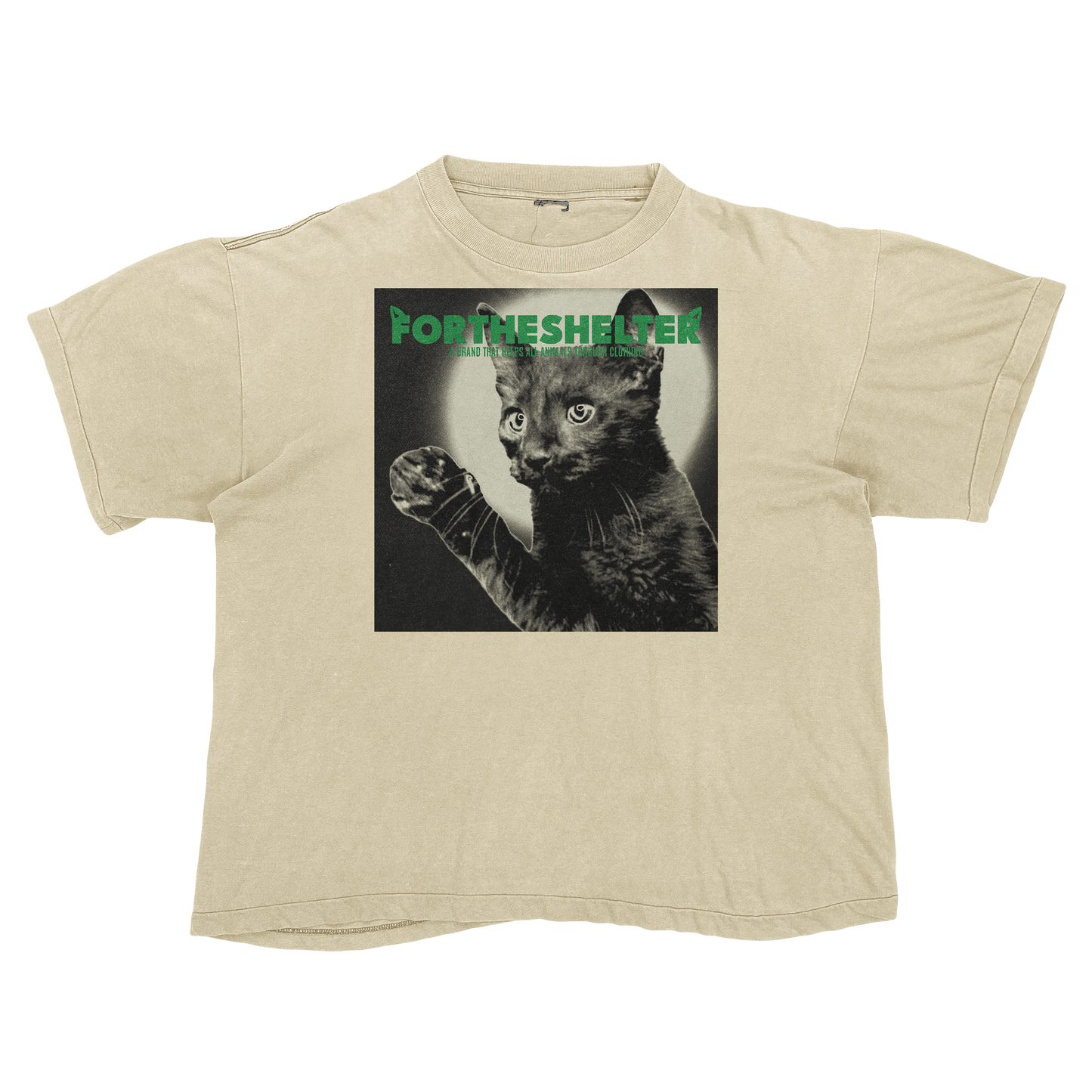 Catokopia - Tyler, The Creator Chromakopia Cat Parody