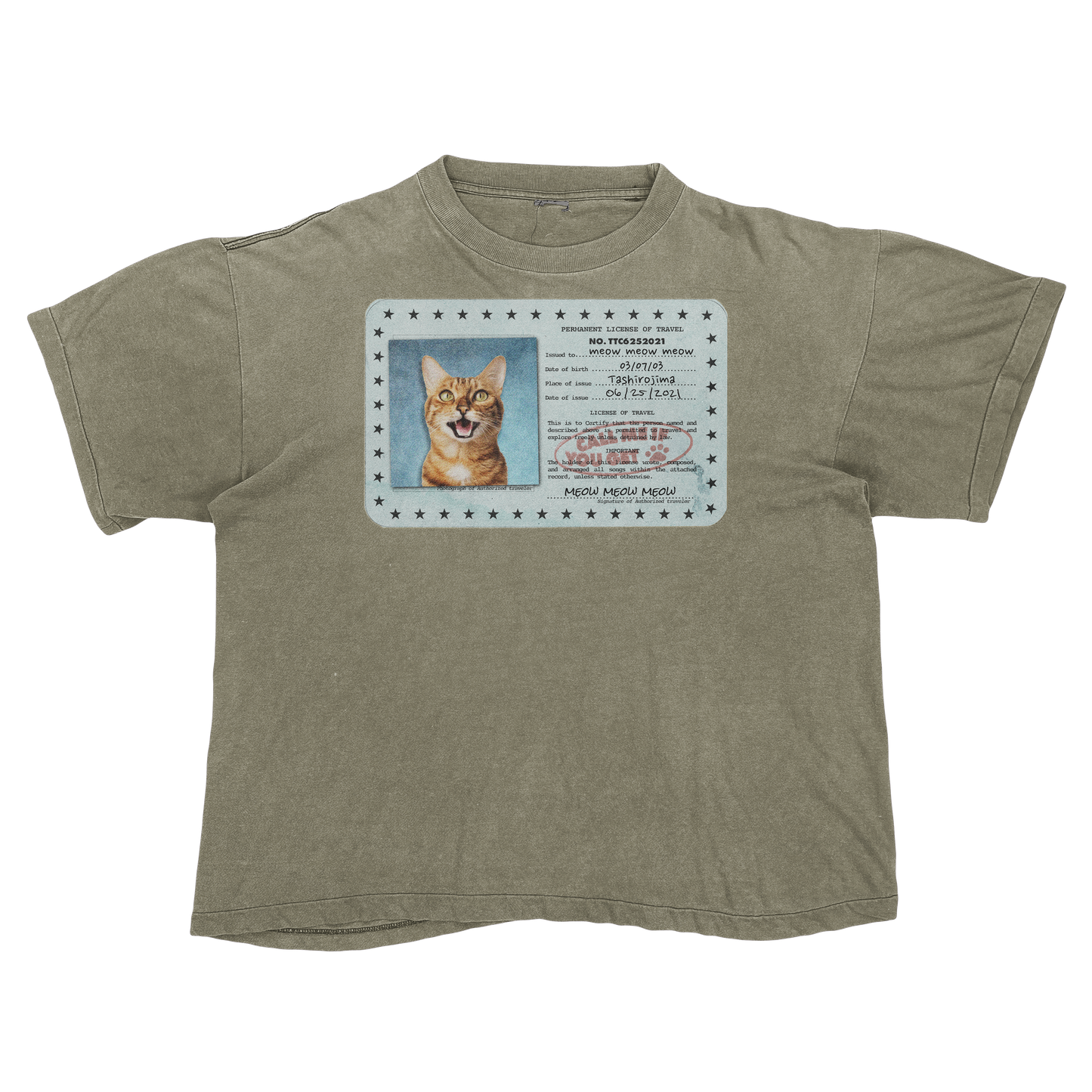 Tyler, The Creator "Call Me If You Get Lost" Cat Parody Tee Shirt