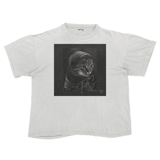Drake Scorpion Cat Parody Shirt – Funny Album Cover Tee