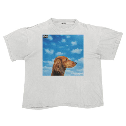 "Drake" Nothing Was The Same Cat Parody Shirt.
