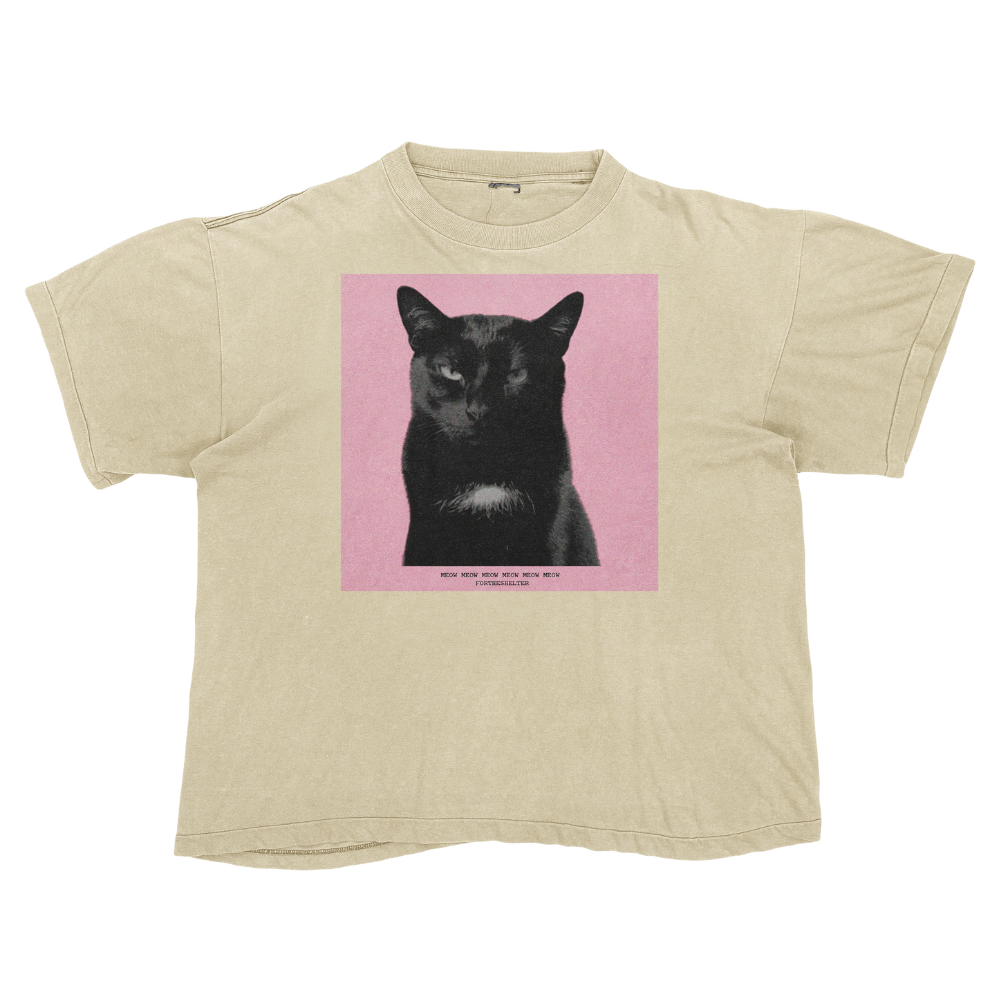 Tyler, The Cat | Tyler, The Creator Igor Parody Tee Shirt