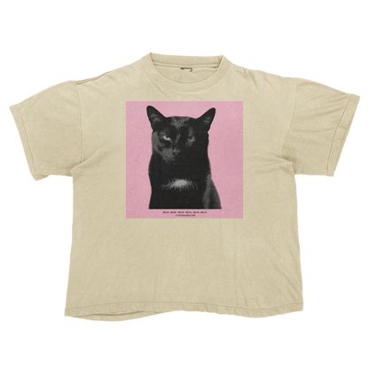 Tyler, The Cat | Tyler, The Creator Igor Parody Tee Shirt