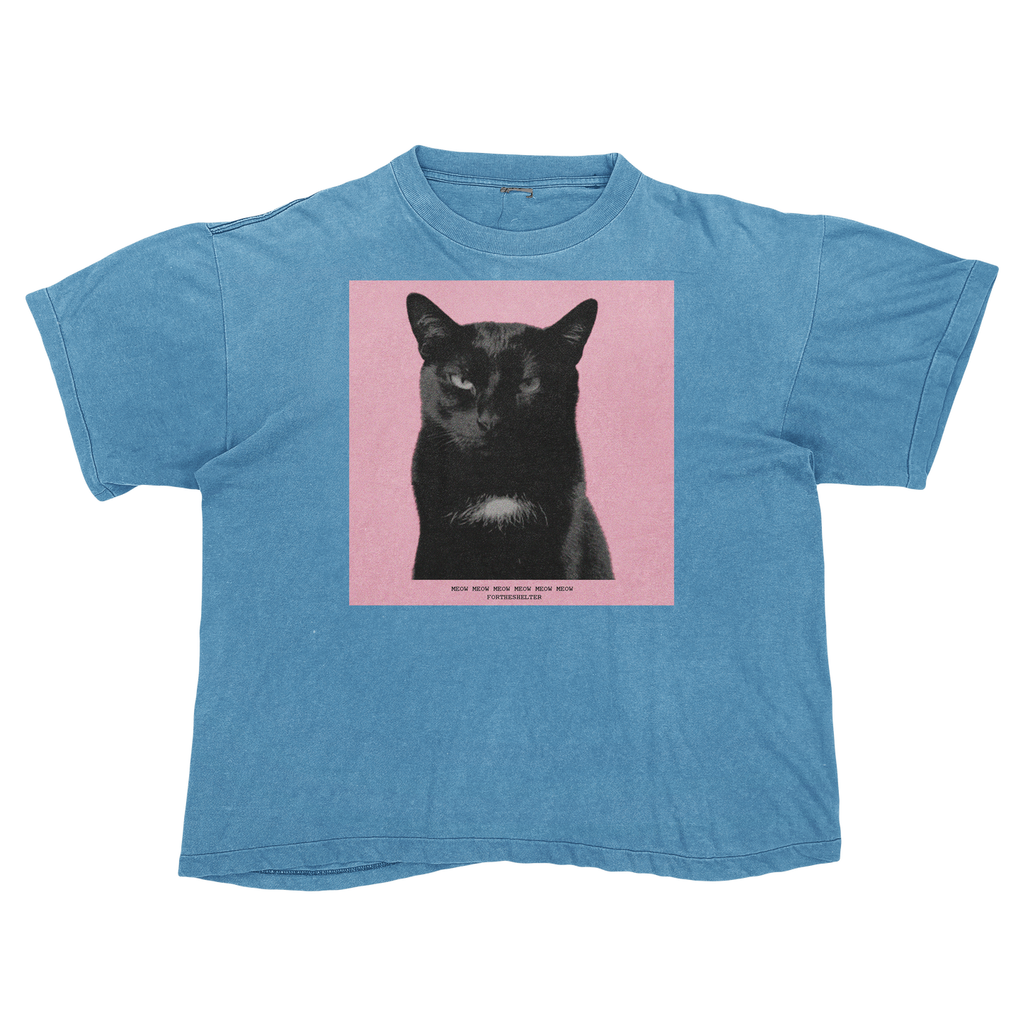Tyler, The Cat | Tyler, The Creator Igor Parody Tee Shirt