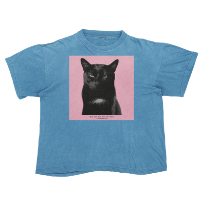 Tyler, The Cat | Tyler, The Creator Igor Parody Tee Shirt