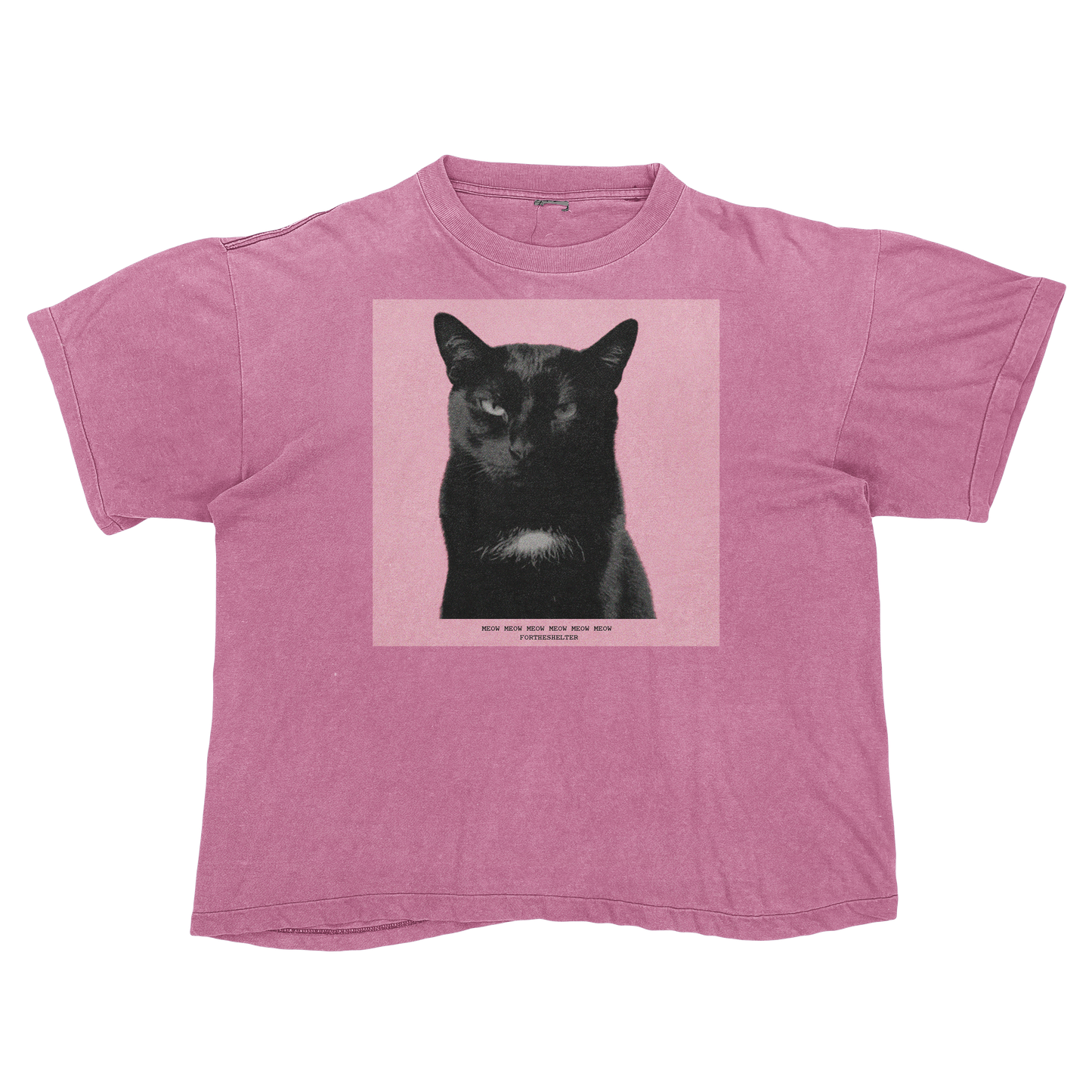 Tyler, The Cat | Tyler, The Creator Igor Parody Tee Shirt