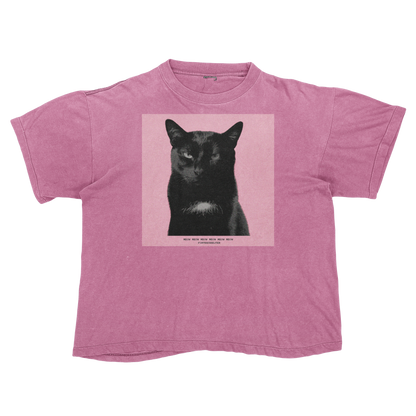 Tyler, The Cat | Tyler, The Creator Igor Parody Tee Shirt