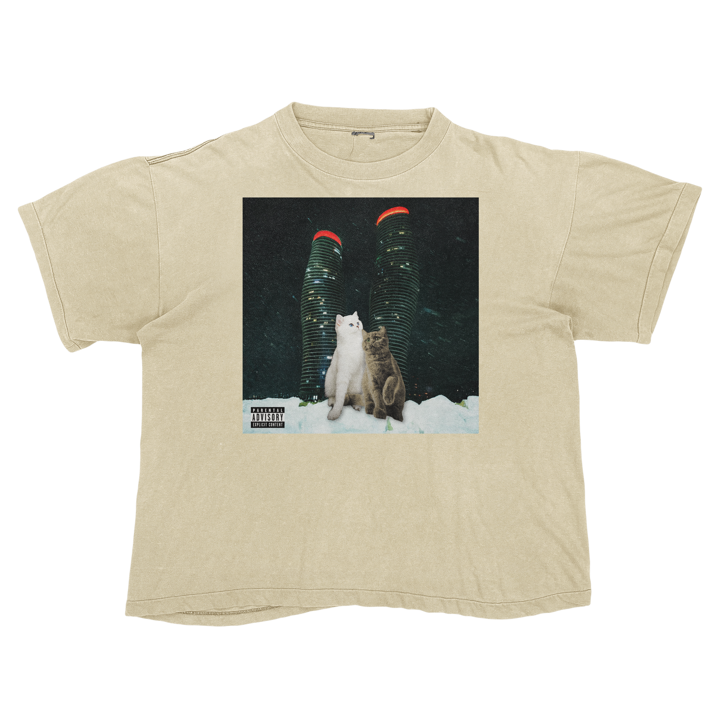 "Drake" $ome €uddly $ongs 4 U | $ome $exy $ongs 4 U Album Cat Parody T Shirt