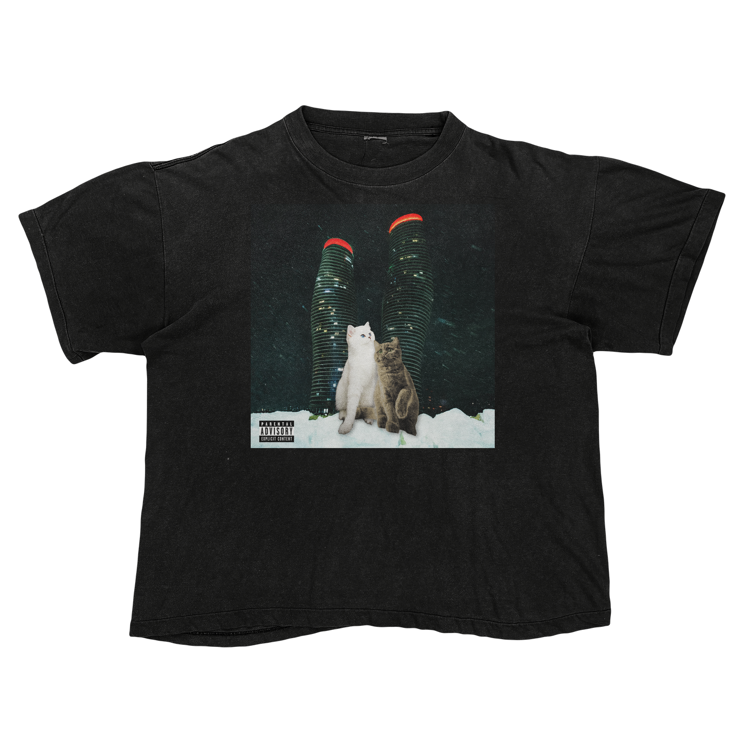 "Drake" $ome €uddly $ongs 4 U | $ome $exy $ongs 4 U Album Cat Parody T Shirt