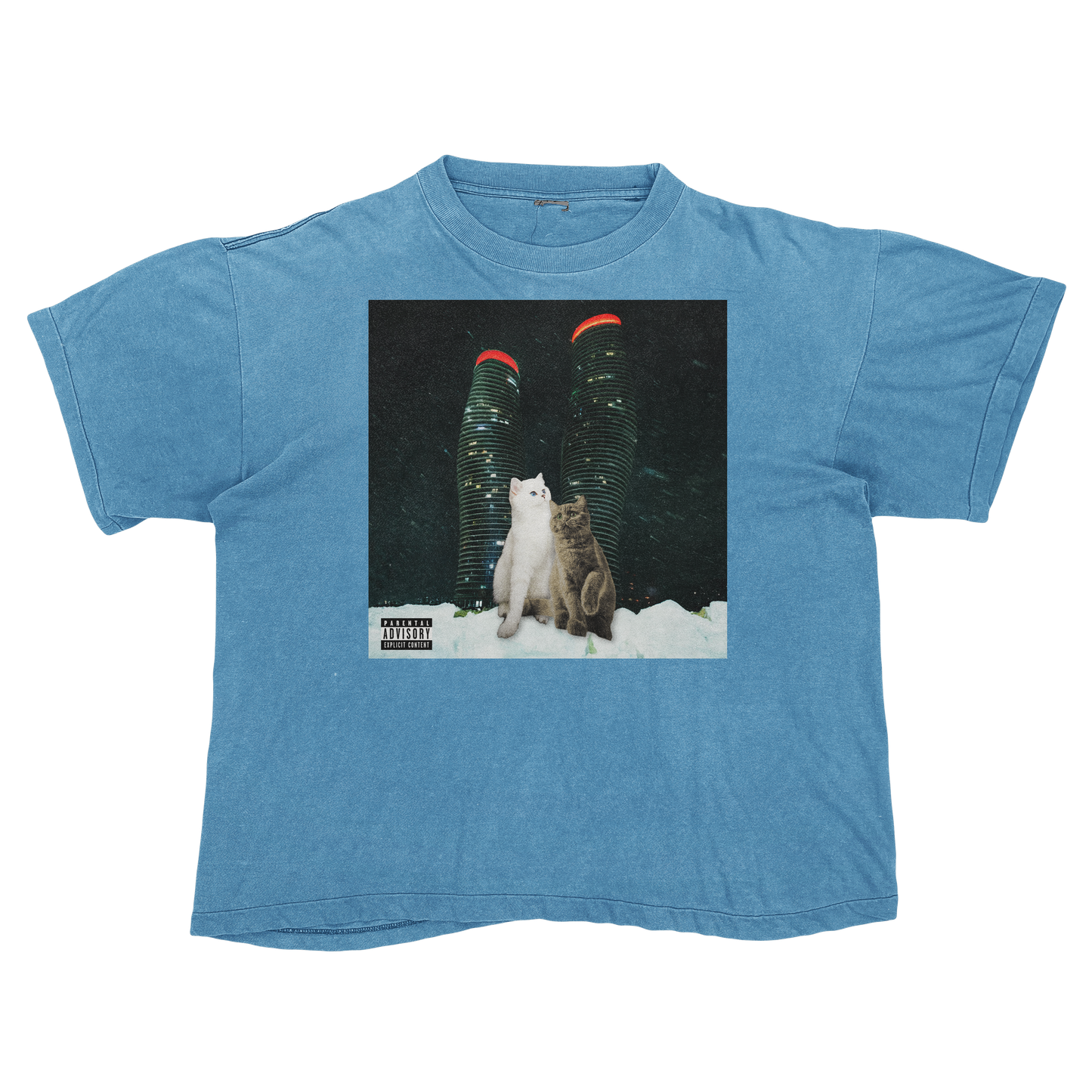 "Drake" $ome €uddly $ongs 4 U | $ome $exy $ongs 4 U Album Cat Parody T Shirt