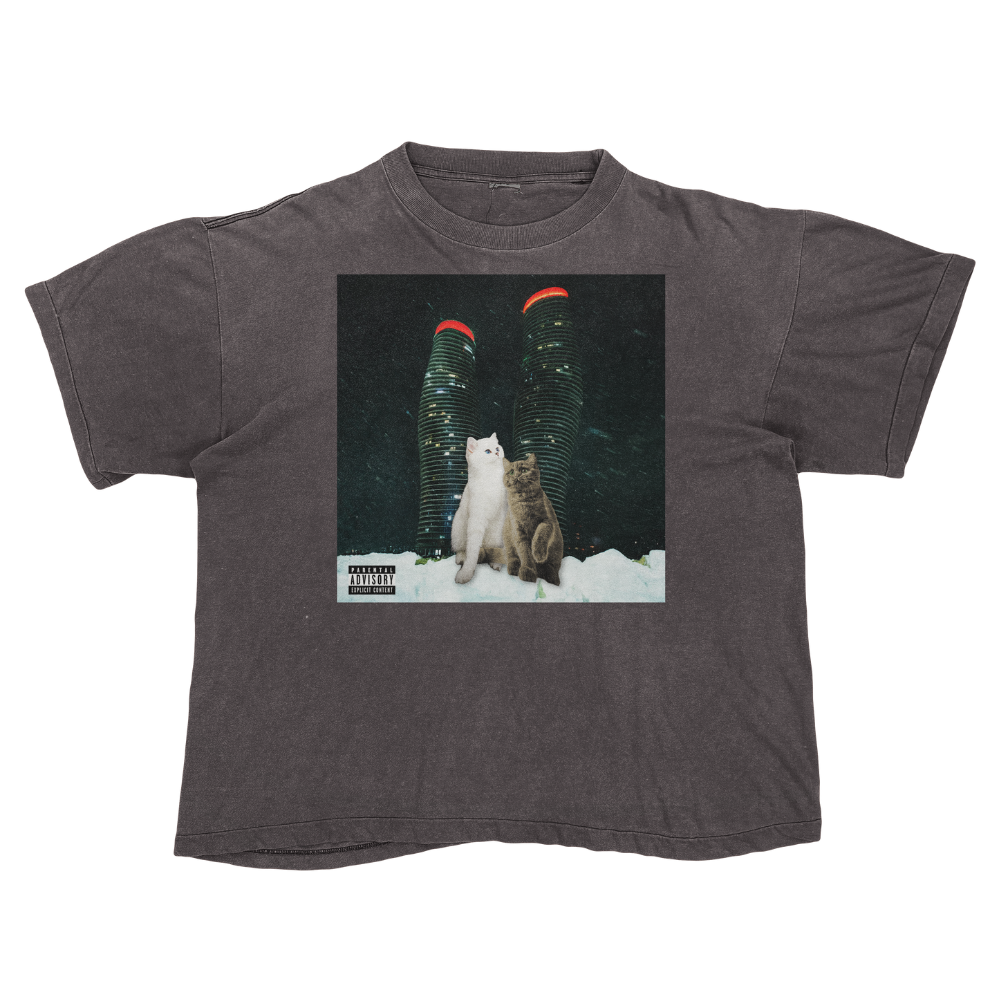 "Drake" $ome €uddly $ongs 4 U | $ome $exy $ongs 4 U Album Cat Parody T Shirt