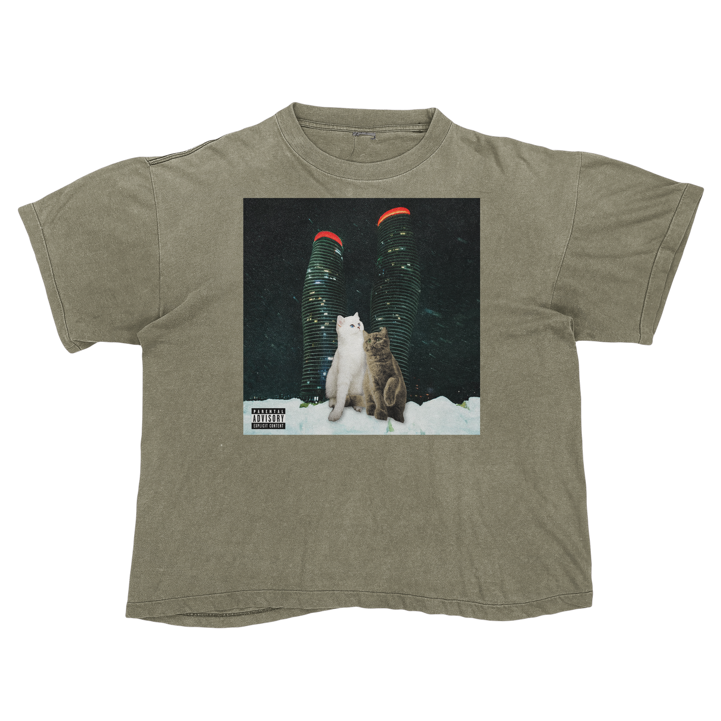 "Drake" $ome €uddly $ongs 4 U | $ome $exy $ongs 4 U Album Cat Parody T Shirt