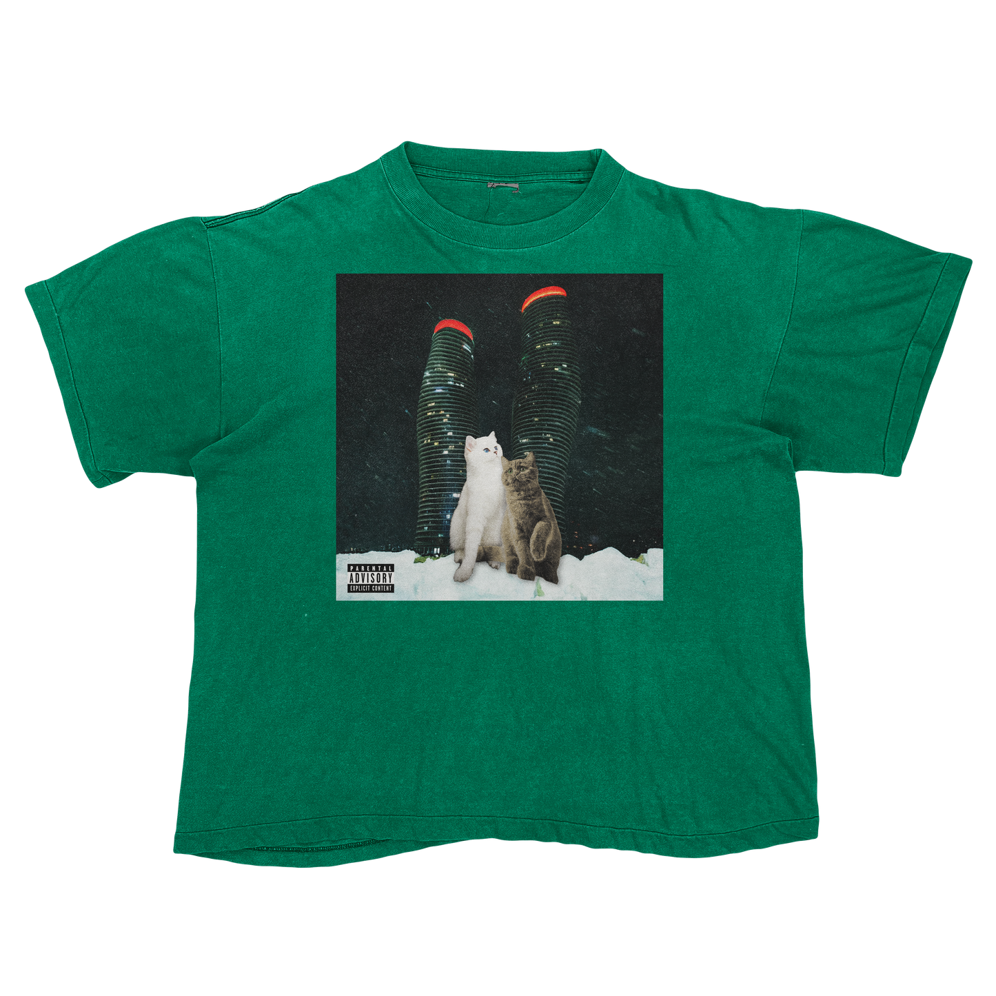 "Drake" $ome €uddly $ongs 4 U | $ome $exy $ongs 4 U Album Cat Parody T Shirt