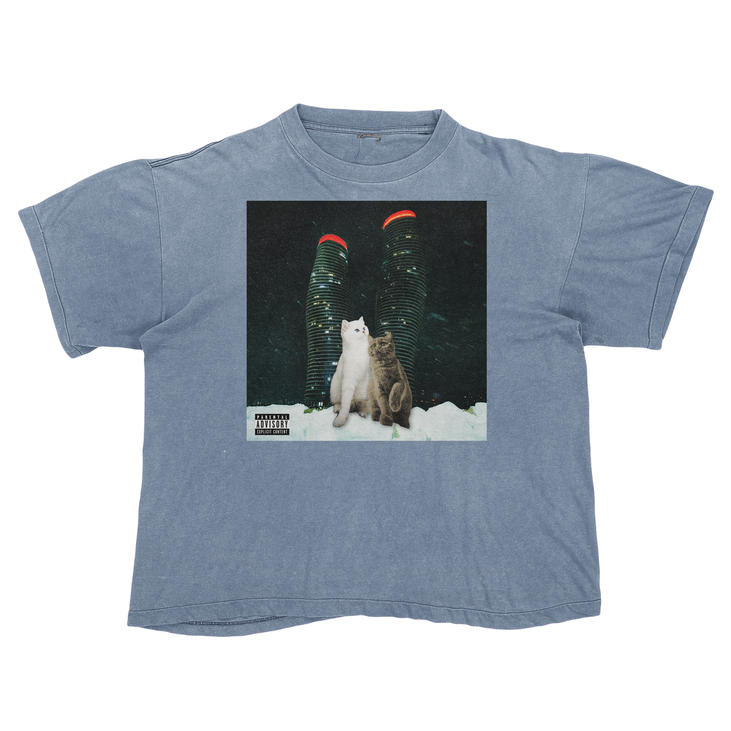 "Drake" $ome €uddly $ongs 4 U | $ome $exy $ongs 4 U Album Cat Parody T Shirt