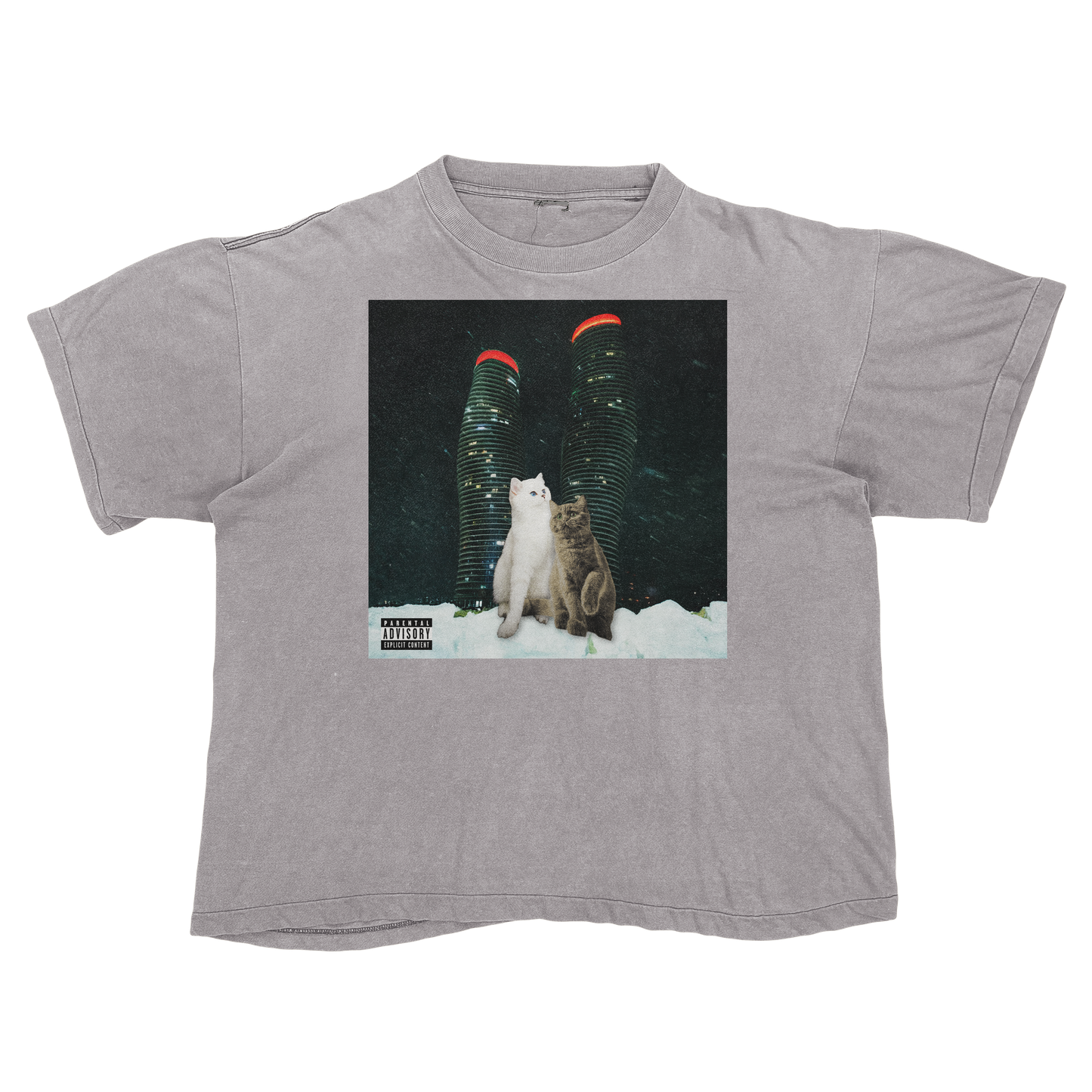 "Drake" $ome €uddly $ongs 4 U | $ome $exy $ongs 4 U Album Cat Parody T Shirt