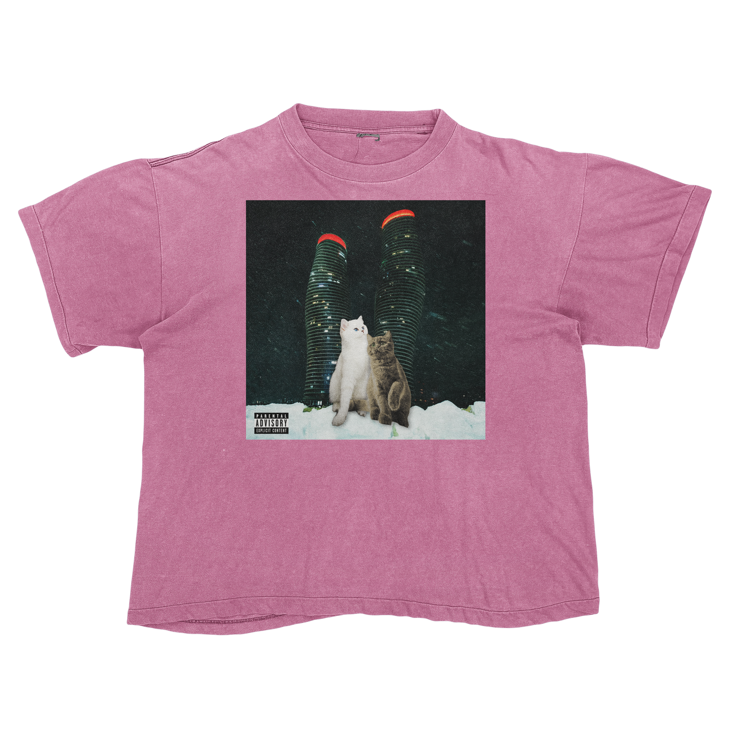 "Drake" $ome €uddly $ongs 4 U | $ome $exy $ongs 4 U Album Cat Parody T Shirt