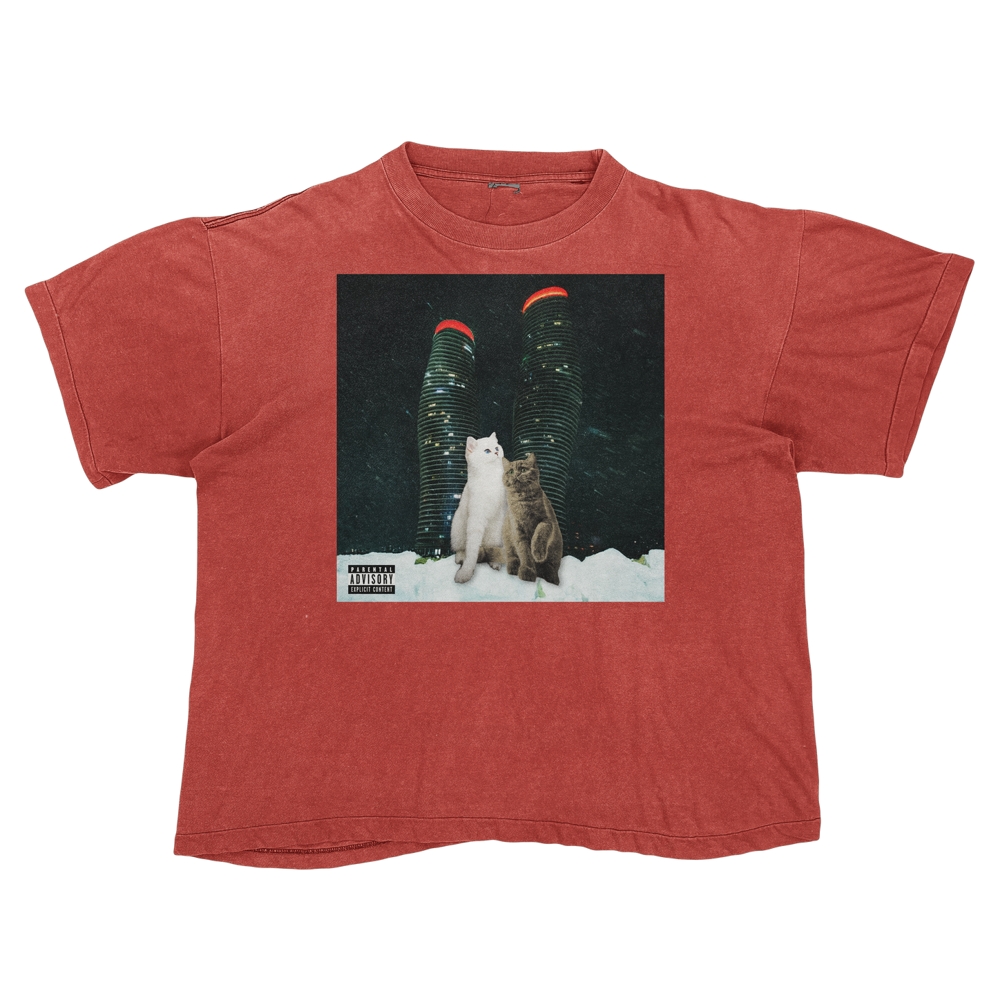 "Drake" $ome €uddly $ongs 4 U | $ome $exy $ongs 4 U Album Cat Parody T Shirt