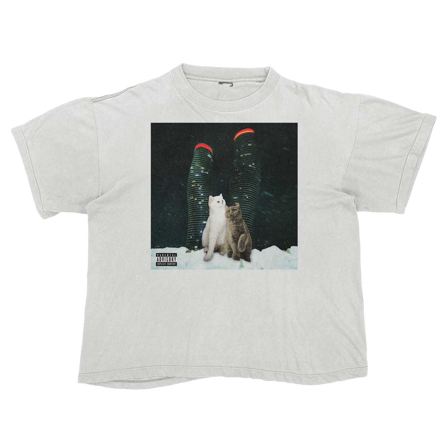 "Drake" $ome €uddly $ongs 4 U | $ome $exy $ongs 4 U Album Cat Parody T Shirt