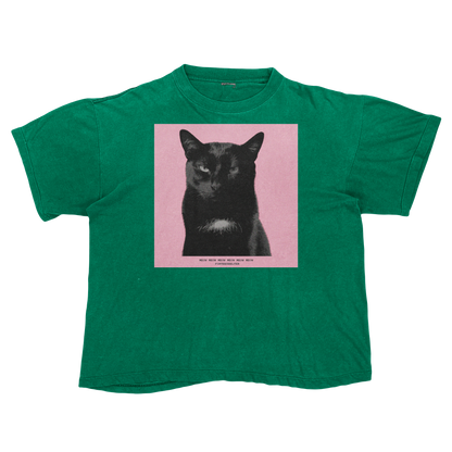 Tyler, The Cat | Tyler, The Creator Igor Parody Tee Shirt