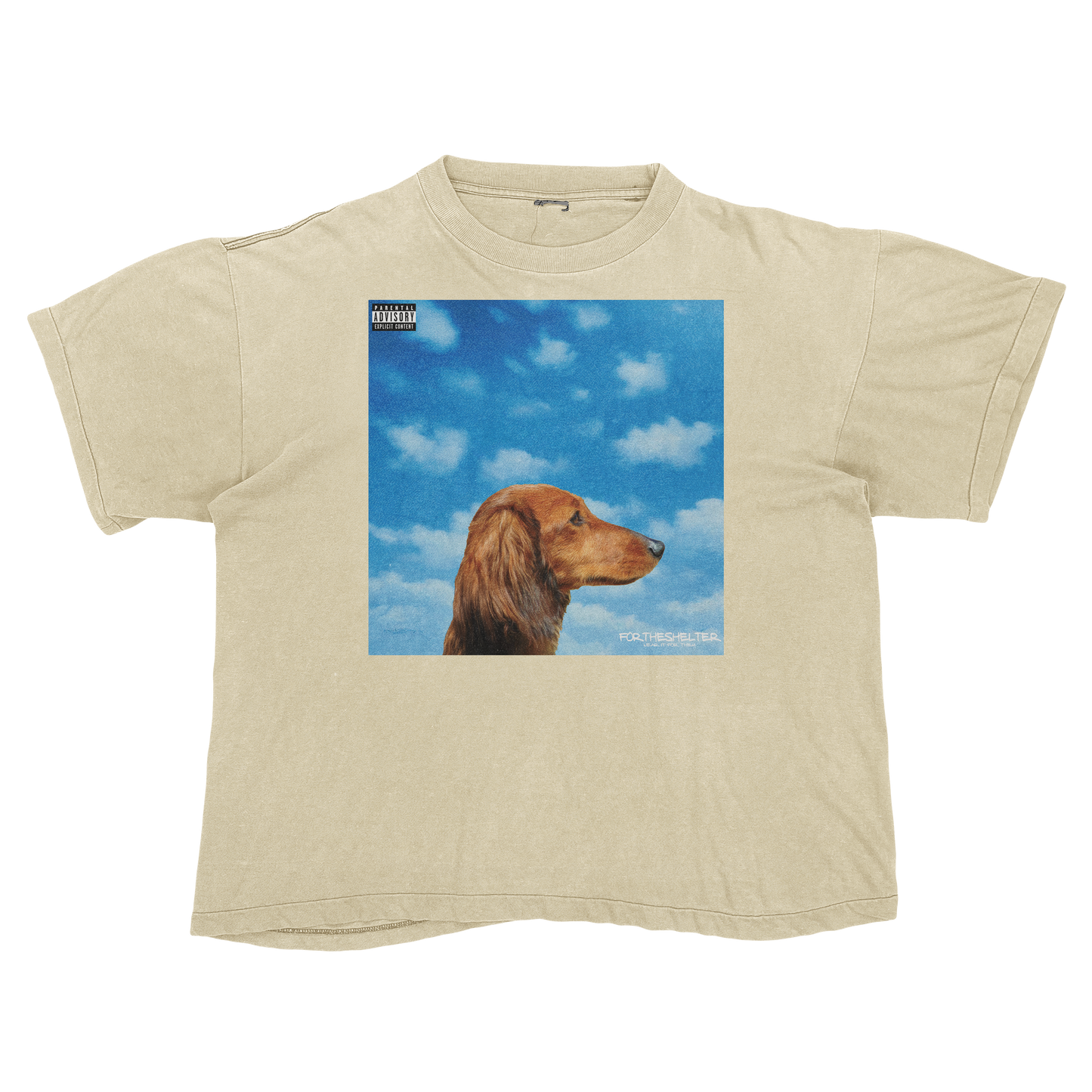 "Drake" Nothing Was The Same Cat Parody Shirt.
