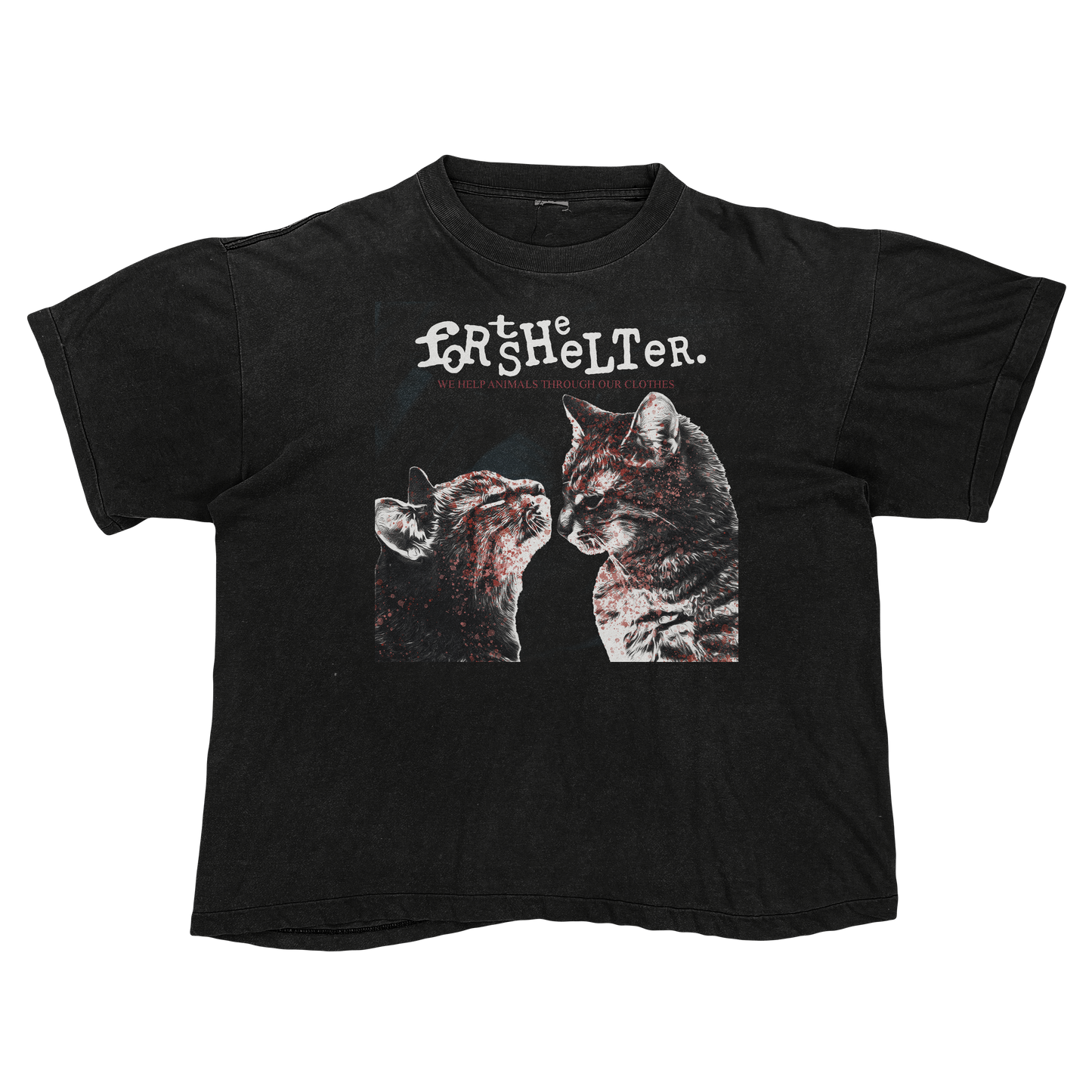 My Catnip Romance's "Purrmolition Lovers" | My Chemical Romance's "Demolition Lovers" Cat Parody