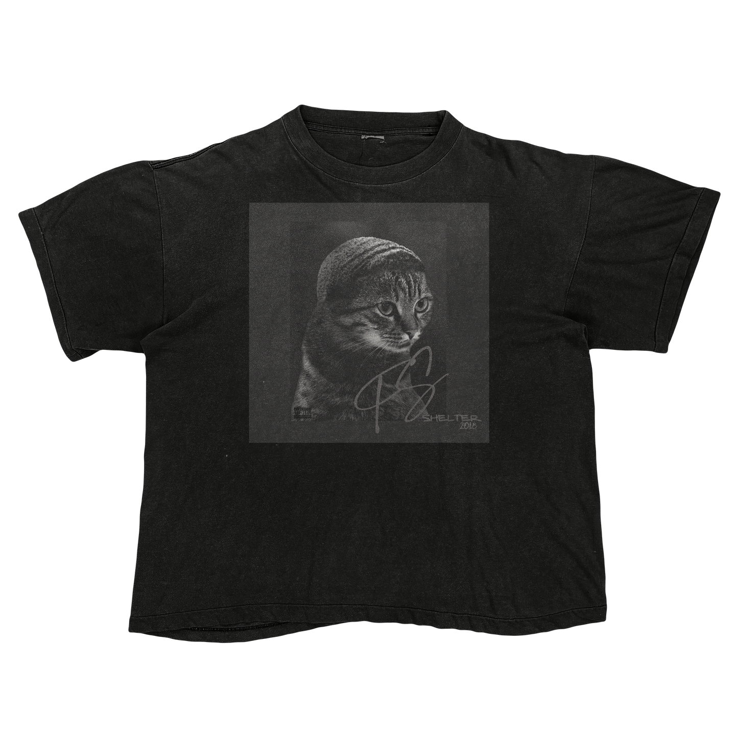 Drake Scorpion Cat Parody Shirt – Funny Album Cover Tee