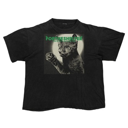 Catokopia - Tyler, The Creator Chromakopia Cat Parody