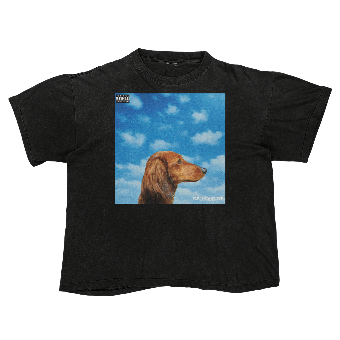 "Drake" Nothing Was The Same Cat Parody Shirt.