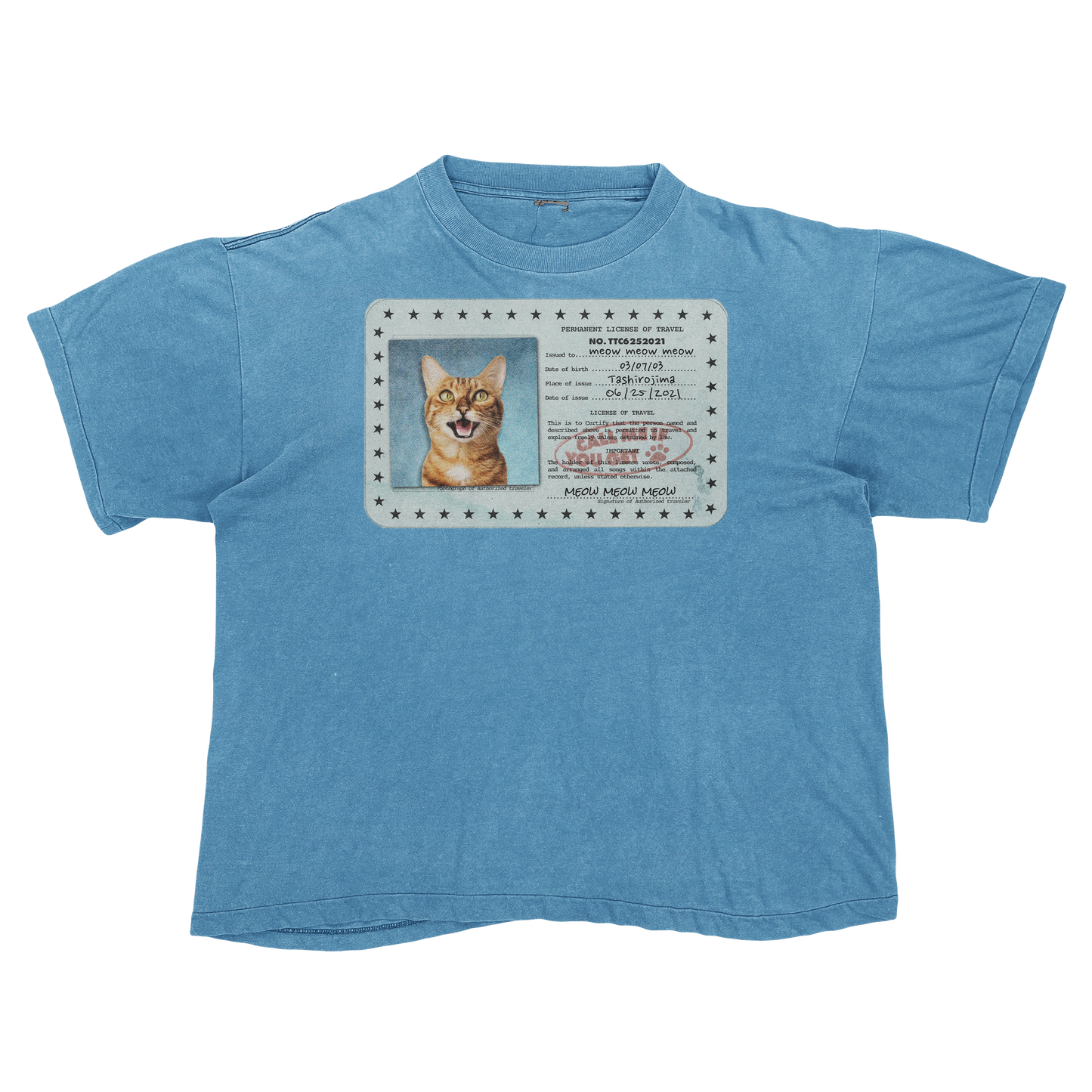 Tyler, The Creator "Call Me If You Get Lost" Cat Parody Tee Shirt
