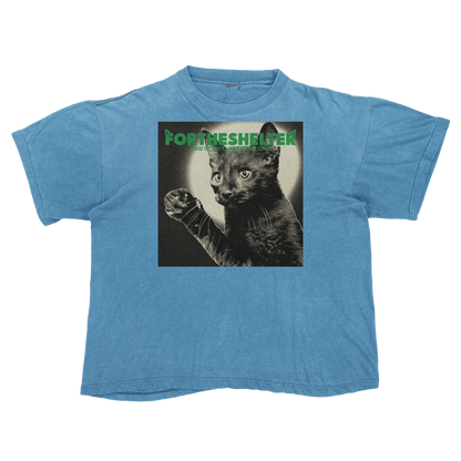 Catokopia - Tyler, The Creator Chromakopia Cat Parody