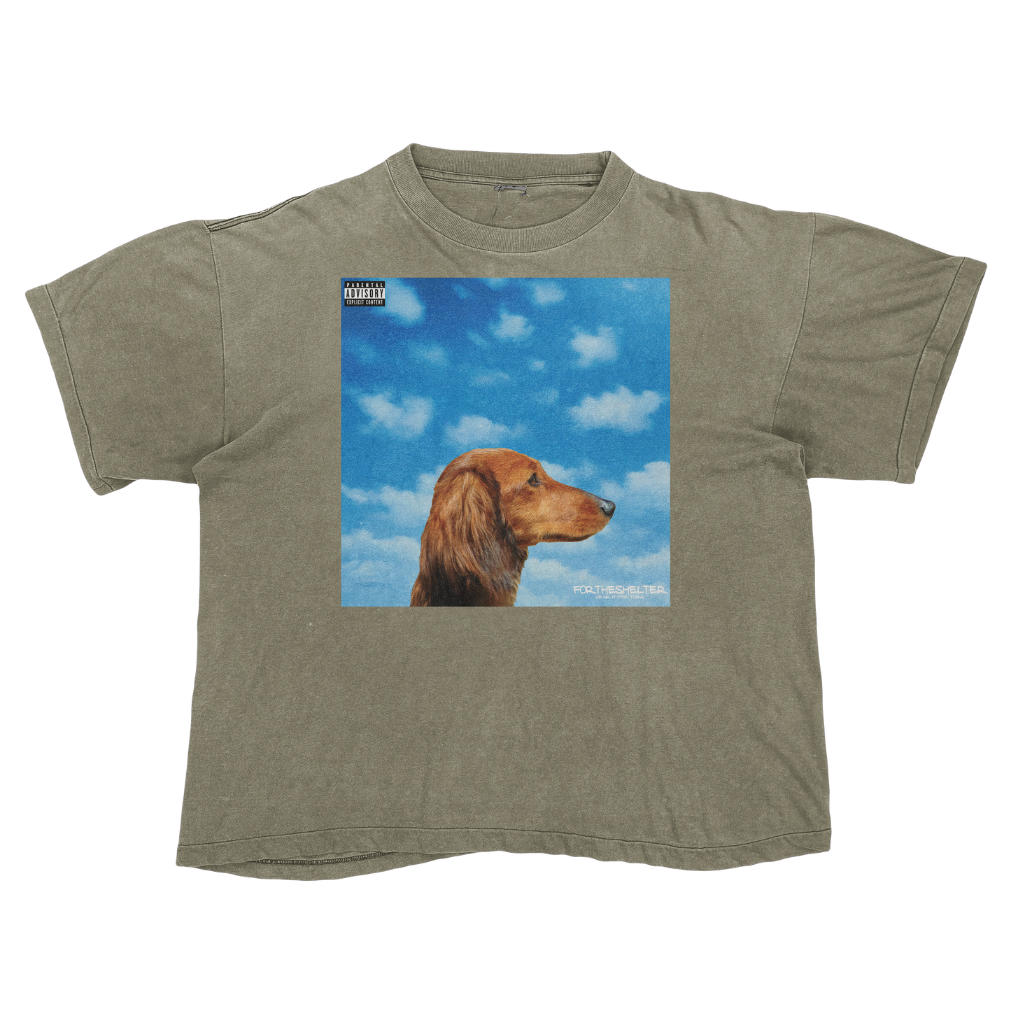 "Drake" Nothing Was The Same Cat Parody Shirt.