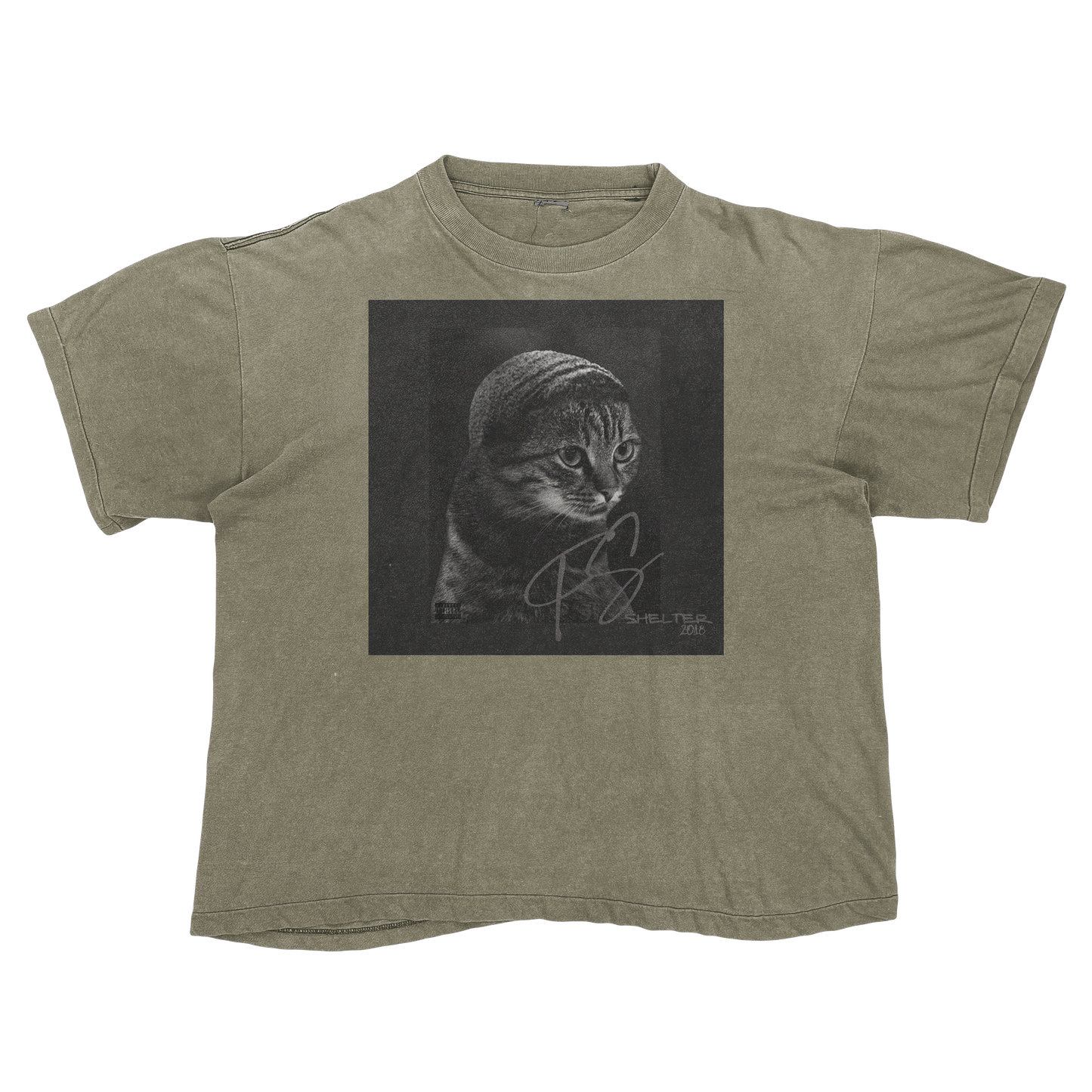 Drake Scorpion Cat Parody Shirt – Funny Album Cover Tee