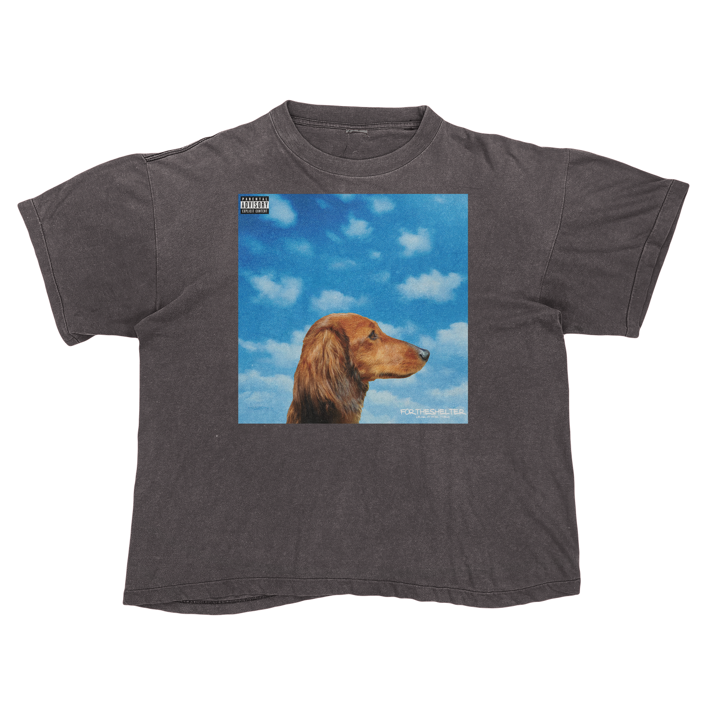 "Drake" Nothing Was The Same Cat Parody Shirt.